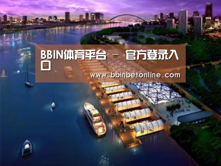 案例展示八