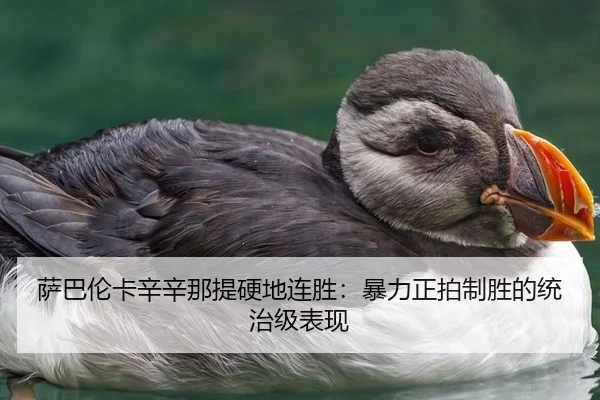 萨巴伦卡辛辛那提硬地连胜：暴力正拍制胜的统治级表现
