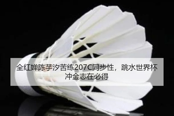 quan-hong-chan-chen-yu-xi-ku-lian-tong-bu-xing-tiao-shui-shi-jie-bei-chong-jin-zhi-zai-bi-dei-2-524.jpg